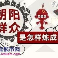 c朝阳群众,守护首都安宁的民间力量